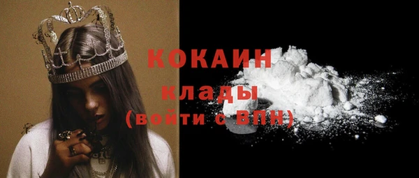 молекула духа Богородицк
