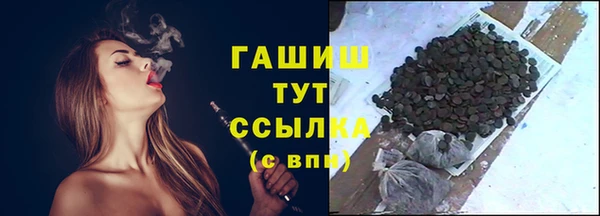 молекула духа Богородицк
