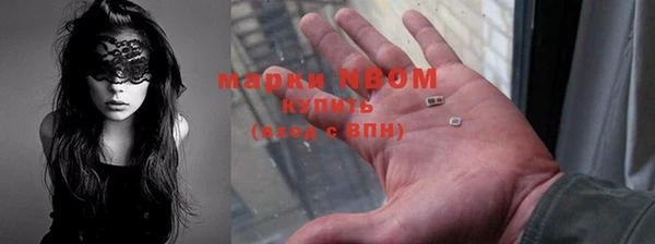 молекула духа Богородицк