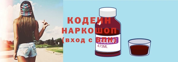 молекула духа Богородицк