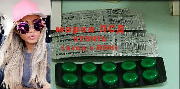 молекула духа Богородицк
