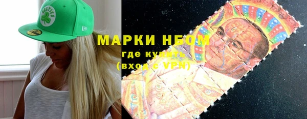 молекула духа Богородицк