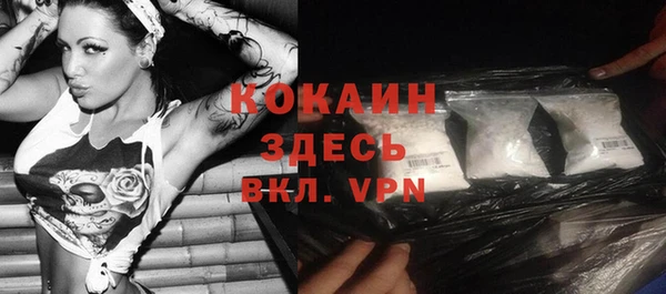 молекула духа Богородицк