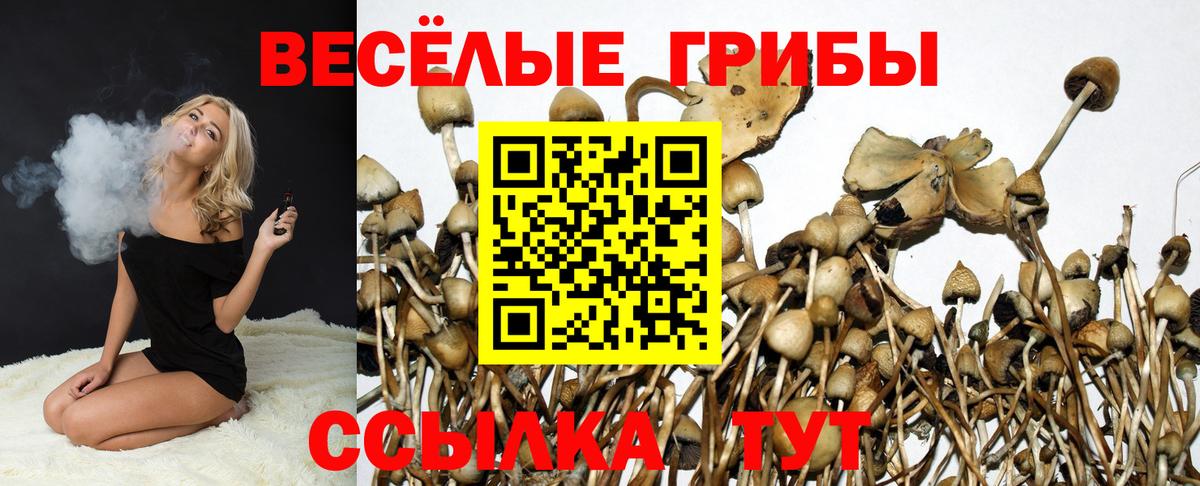 Галлюциногенные грибы Magic Shrooms Великий Устюг